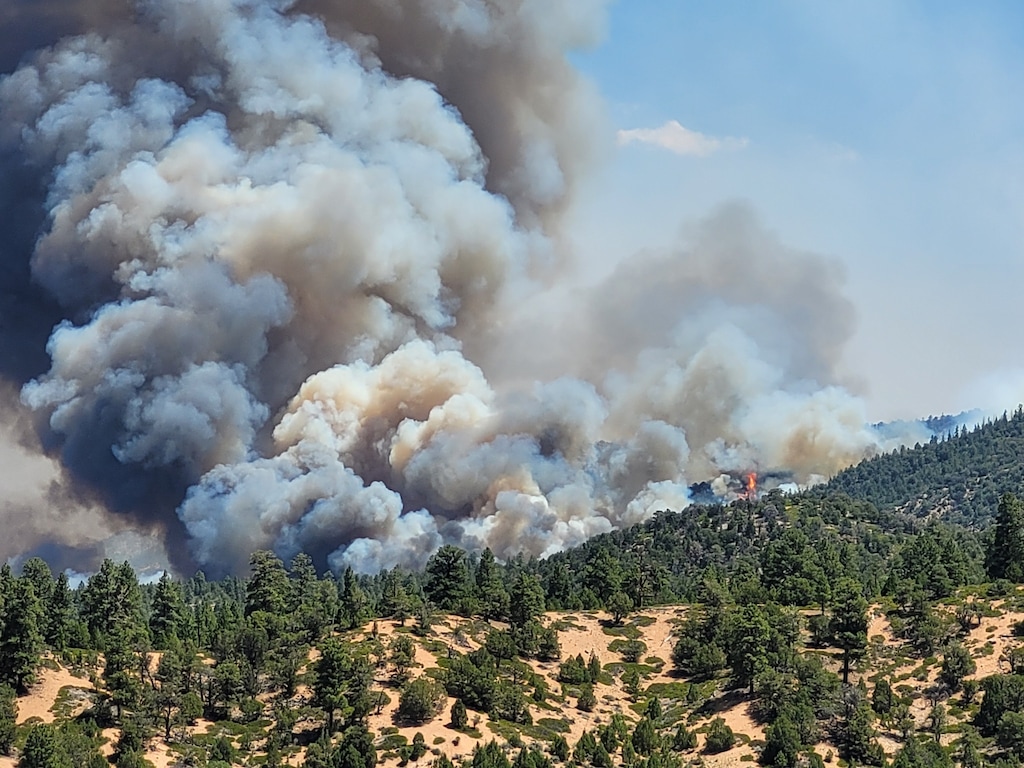 Grey and black smoke clouds billow above a forest of ponderosas and piñon-junipers.