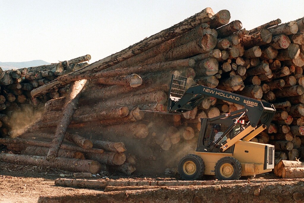 (Leah Hogsten | The Salt Lake Tribune) Logging operations near Lyman, bordering Fishlake National Forest, in 1999.