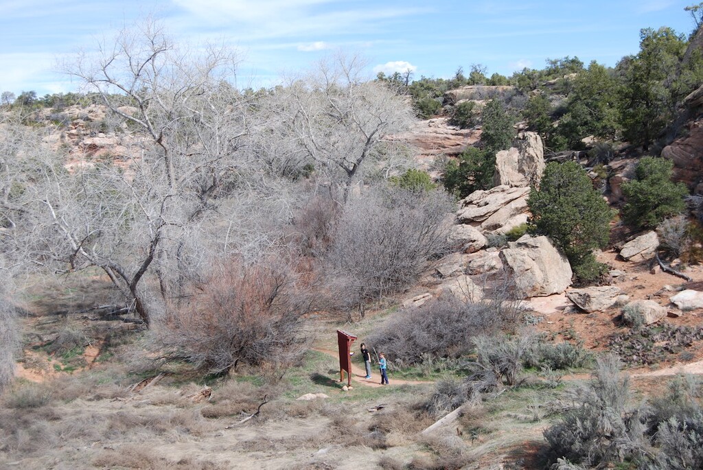 (Brian Maffly | Tribune file photo) The trailhead to House on Fire, a cliff dwelling in Bears Ears National Monument, could soon be developed with a parking area and toilets under a preliminary proposal from the Bureau of Land Management.