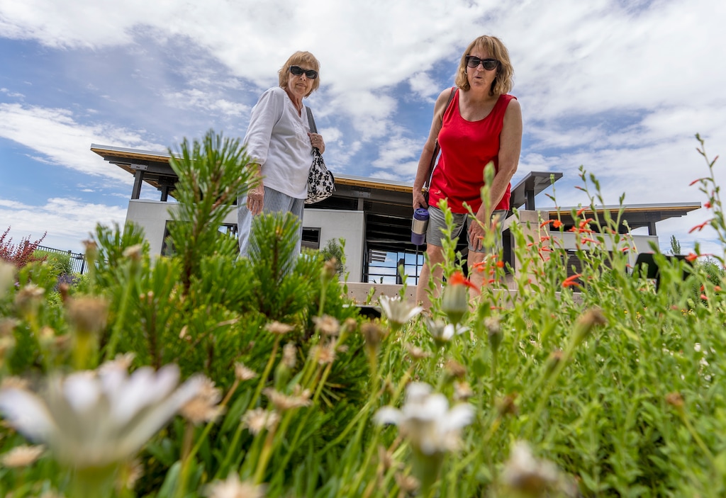 (Leah Hogsten | The Salt Lake Tribune) Tootie Neumann, left, and her daughter-in-law Kathy Neumann examine water-wise plants at the Jordan Valley Water Conservancy Garden Park while gathering ideas about how to flip the strip at Tootie's house, Thursday, July 14, 2022.