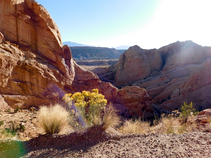 (Erin Alberty | The Salt Lake Tribune) The sun peeks into the crevices around the Burr Trail Road on Oct. 5, 2015 in Capitol Reef National Park.