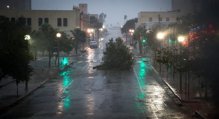(Nick Wagner | Austin American-Statesman via AP) A tree blocks a street as Hurricane Harvey makes landfall in Corpus Christi, Texas, on Friday, Aug. 25, 2017. Hurricane Harvey smashed into Texas late Friday, lashing a wide swath of the Gulf Coast with strong winds and torrential rain from the fiercest hurricane to hit the U.S. in more than a decade.