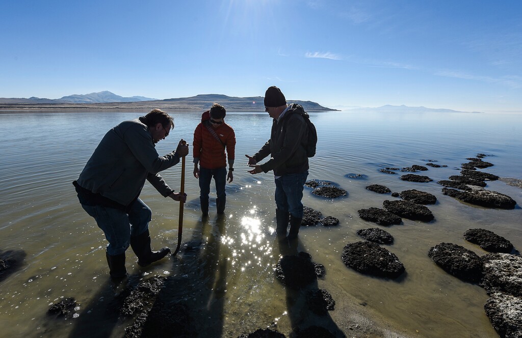 (Francisco Kjolseth | The Salt Lake Tribune)

In this Nov. 2017 photo, researchers gather rock-like structures along the shores of at the Great Salt Lake that are formed by cyanobacteria known as microbialites.  Bold water conservation strategies and changes in long-standing law and water policies are needed to slow the alarming shrinking of the Great Salt Lake. A recent report from an by an advisory panel found upstream diversions have long prevented vast quantities from replenishing the lake, reducing the lake by half its normal size with further declines predicted.