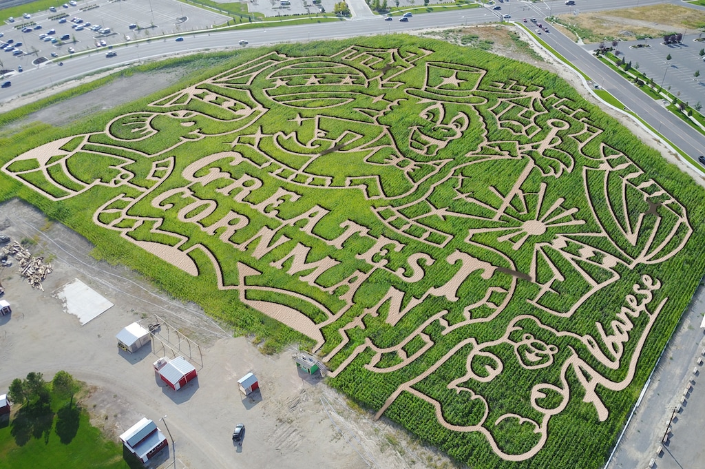 (Photo courtesy of Cornbelly's) An aerial view of the Cornbelly's maze at Thanksgiving Point in Lehi, which has a circus theme for 2018.