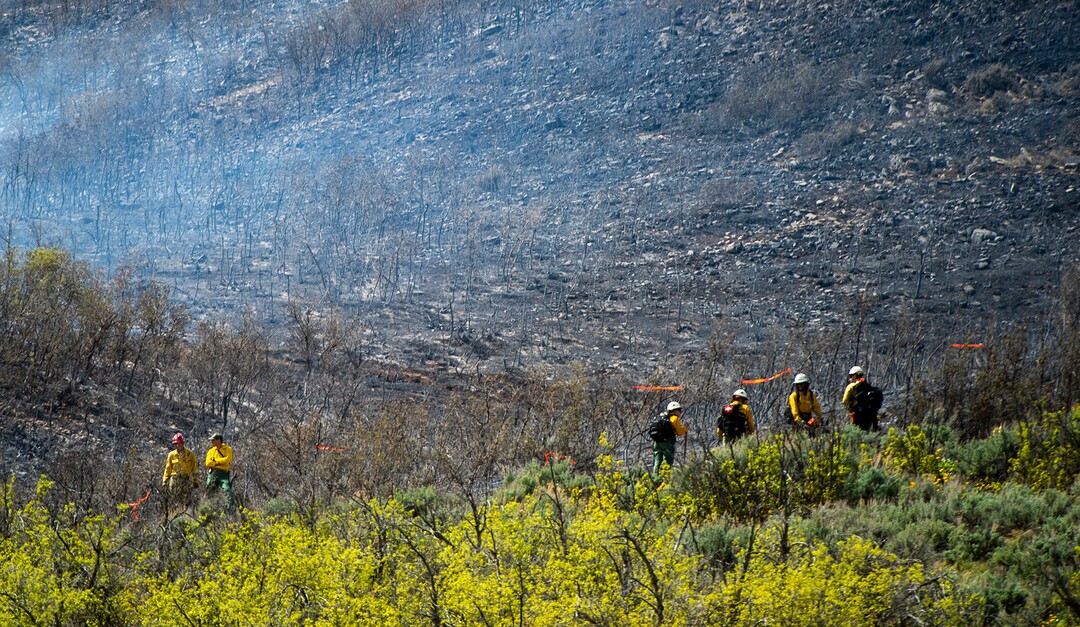 (Rick Egan  |  The Salt Lake Tribune)   Firefighters hike up the hill to fight the fire near the Dutch Canyon Road in Midway, Tuesday May 12, 2020