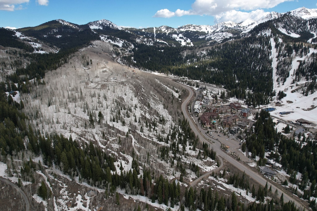 (Francisco Kjolseth  | The Salt Lake Tribune) Solitude Mountain Resort has requested a conditional use permit to build a 593-space parking lot in an aspen grove across SR-190 from the ski area's main village, pictured Tuesday, May 7, 2025.. The planned area, center left, has critics saying the lot will damage Salt Lake City's watershed, further snarl traffic in the canyon and be a visual blight. 