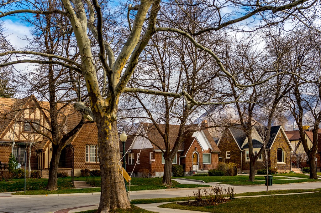Trent Nelson | The Salt Lake Tribune
Homes along the 1700 block of Harvard Avenue in Salt Lake City.