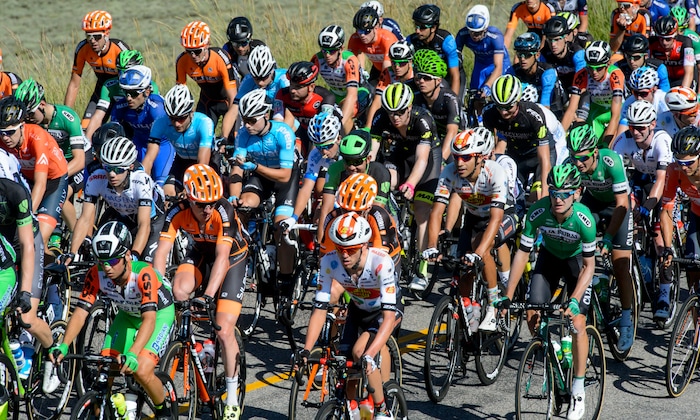 Steve Griffin  |  The Salt Lake TribuneThe peloton climbs up Logan Canyon during Stage 1 of the Tour of Utah bicycle race from Logan around Bear Lake and back to Logan Monday July 31, 2017.