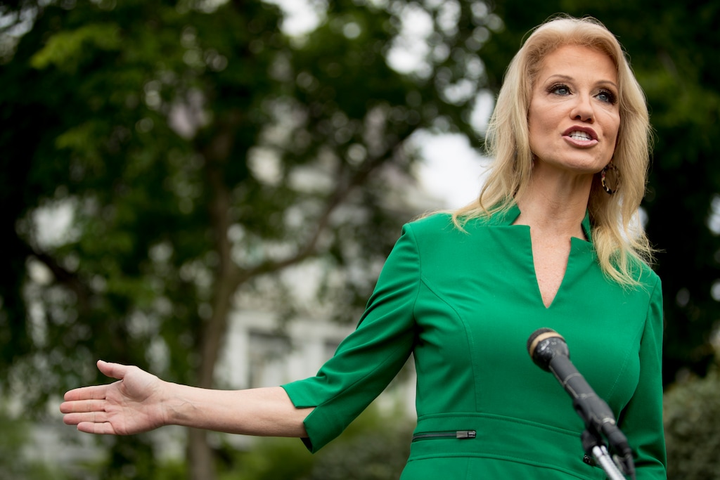 (Andrew Harnik | AP file photo)  Counselor to the President Kellyanne Conway speaks to reporters on the North Lawn outside the West Wing of the White House in Washington, Wednesday, May 27, 2020.