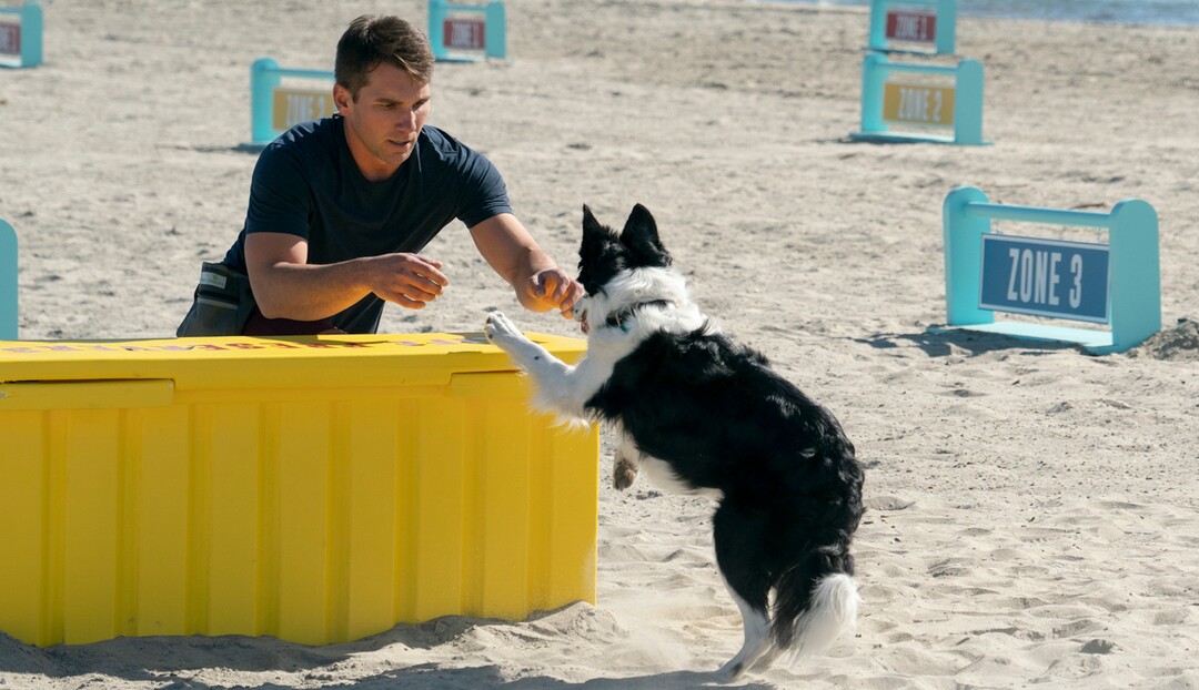(Photo courtesy of Ali Goldstein/Amazon Studios) Mark LeBlanc and Ace compete on "The Pack."