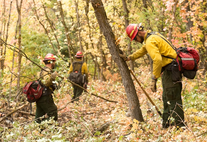 (Rick Egan  |  The Salt Lake Tribune)     Members of Grayback Forestry from Missoula Montana, work in the hills above in Woodland Hills, trying to lessen the impact of the possible flash floods, which have been forecast for the area. Monday, Oct. 1, 2018.


