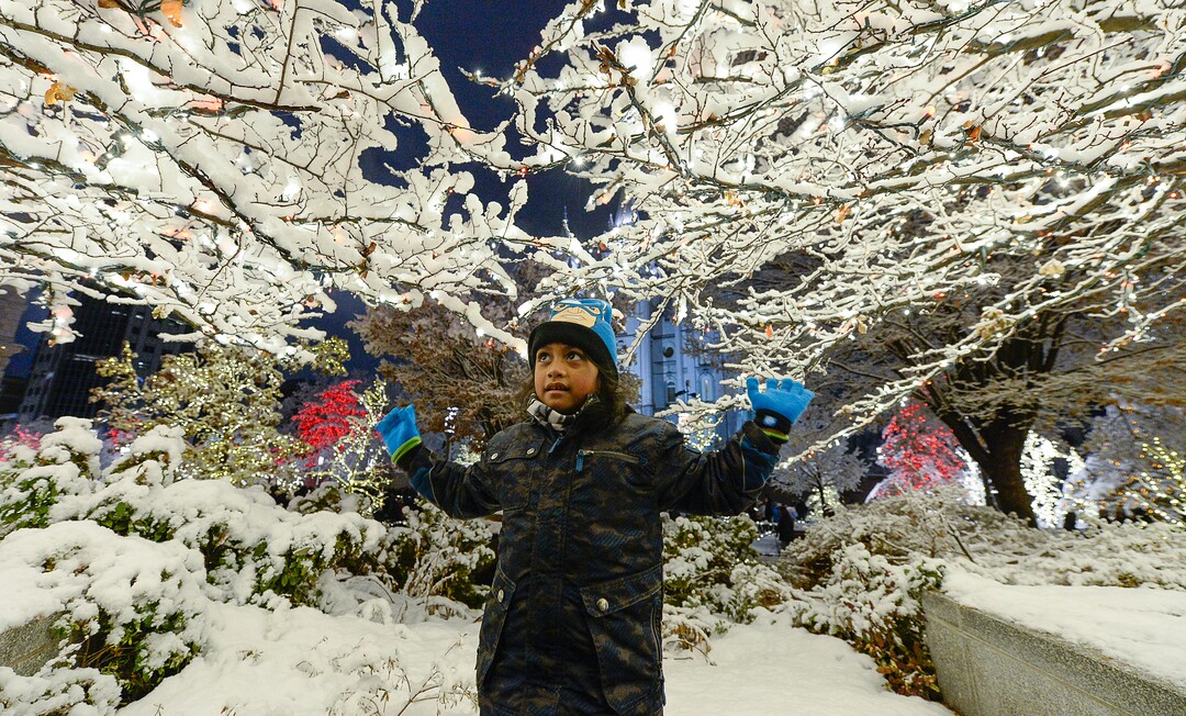 (Francisco Kjolseth  |  The Salt Lake Tribune)  Micha Misifoa, 5, takes in the sights as Temple Square in Salt Lake City comes to life Friday, November 29, 2019, as hundreds of thousands of colorful LED bulbs light up, a yearly tradition that started in 1965. The lights will run through the end of the year.