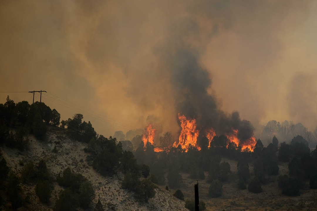 (Trent Nelson | The Salt Lake Tribune) The Coal Hollow Fire burns along Highway 6 in Utah County, Thursday Aug. 9, 2018.