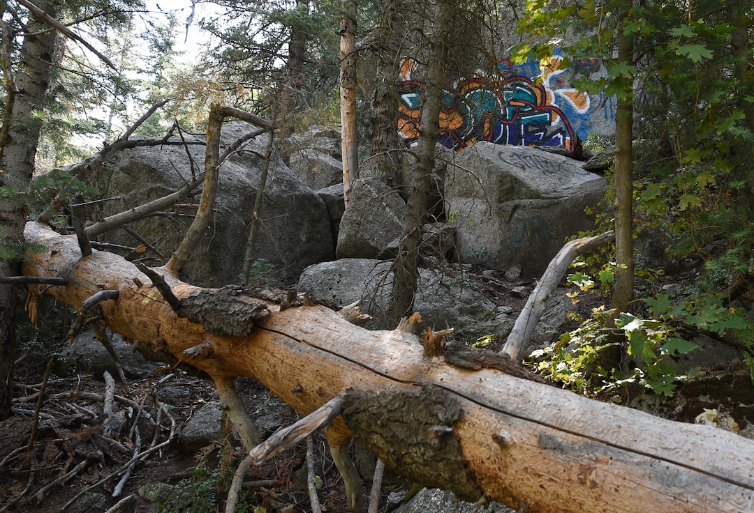 (Francisco Kjolseth  |  The Salt Lake Tribune)  Graffiti has proliferated in lower Little Cottonwood Canyon, where vandals, often wielding cans of fluorescent-colored spray paint, have covered granite faces, trees and structures. The vandalism is particularly apparent along the Temple Quarry Trail and the creek at the Moon Rock swimming hole and former pavilion site. Volunteers using donated equipment and solvents spend thousands of hours removing the paint from the rocks only to see graffiti return to the same faces or on rock nearby.