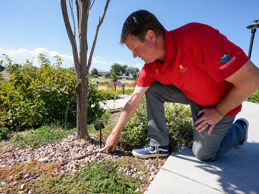 (Bethany Baker | The Salt Lake Tribune) Courtney Brown, the manager for conservation programs for Jordan Valley Water Conservancy District, points out a hose in the drip irrigation system in use at Conservation Garden Park in West Jordan on Friday, Sept. 15, 2023.