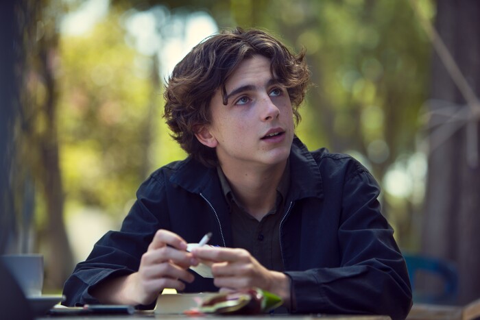This image released by A24 Films shows Timothée Chalamet in a scene from "Lady Bird." (Merie Wallace/A24 via AP)