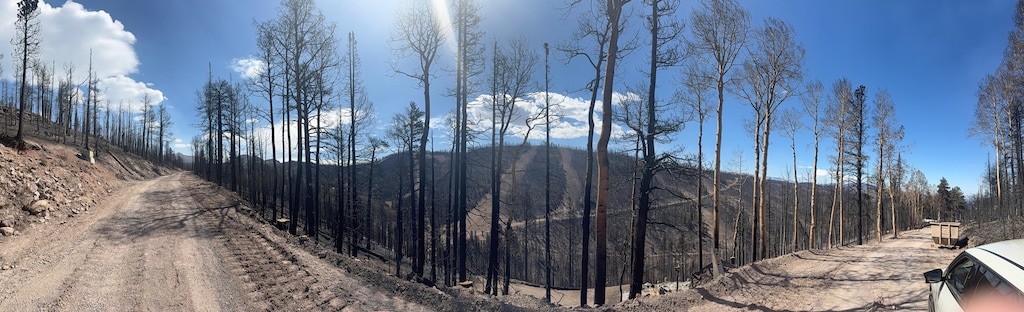 (James Bybee) Pictured is the burned tree-line surrounding what's left of James Bybee's cabin above Beaver, Utah, after the Cottonwood Fire ripped through. 
