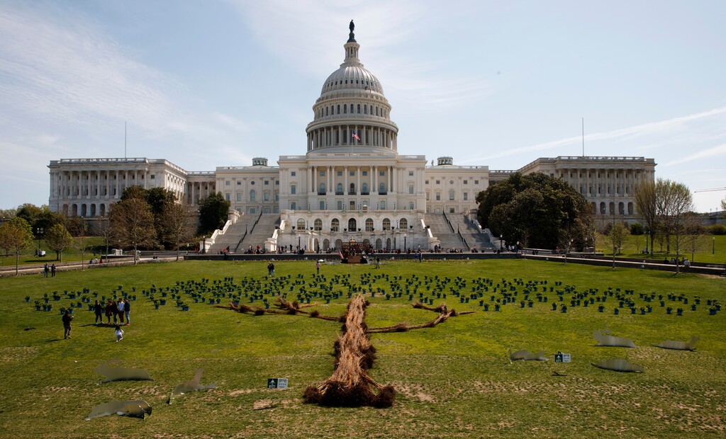 A tree art installation made up of individual trees and Hydrangeas is seen in front of the U.S. Capitol building on Capitol Hill in Washington, Sunday, April 22, 2018, to celebrate Earth Day and promote the planting of trees in an effort to combat climate change. The event was produced by Woodchuck USA and the plants came from Bailey Nurseries, a Minnesota-based company. (AP Photo/Carolyn Kaster)