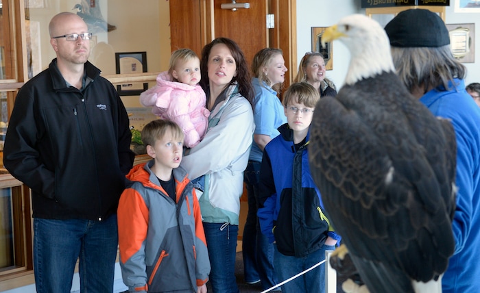 (Al Hartmann | The Salt Lake Tribune)
Families get an up-close look at a Bald Eagle at the Wildlife Education Center at Bear River Migratory Bird Refuge at Eagle Day event on Saturday Feb. 10. This eagle from Ogden Nature Center used for education can't fly. Usually up to several hundred eagles can be seen, each winter, as they migrate through the refuge, but not this year. The abnormal weather this Winter has changed their migratory pattern making live spottings scarce.