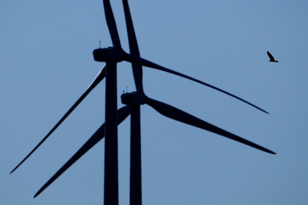 (Charlie Riedel | AP) In this March 29, 2020 file photo, a bird flies among wind turbines near King City, Mo. Hawks and other birds that migrate through the central U.S. to nesting grounds on the Great Plains navigate deadly threats — from electrocution on power lines, to wind turbines that knock them from the air and oil field waste pits where landing birds perish in toxic water.