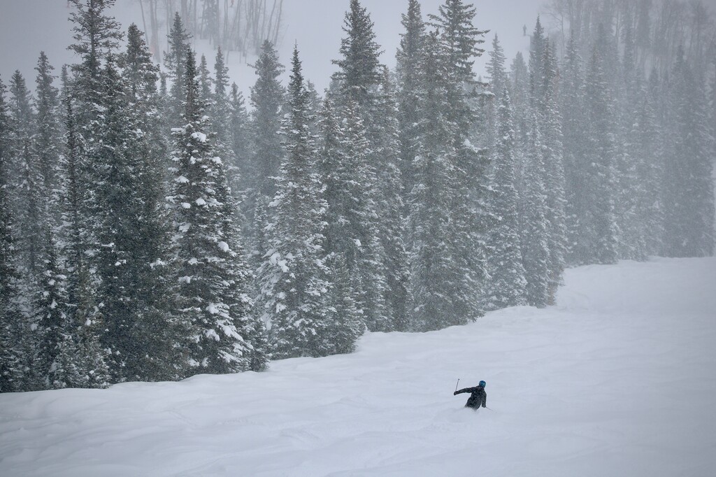 (Alex Hager | KUNC) A skier cruises down Snowmass ski area, where January brought heavy snow to the mountains that supply the majority of the Colorado River's water. Scientists say this could provide a temporary boost to shrinking reservoirs.