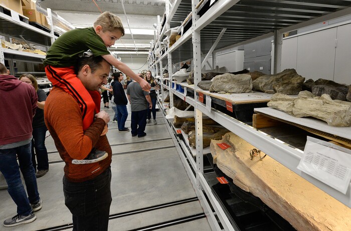 (Francisco Kjolseth  |  The Salt Lake Tribune)  Travis Snyder carries his son Drake, 6, as they explore the wonders on display at the Natural History Museum of Utah's annual Behind the Scenes event, coinciding this year with the museum's 50th anniversary on Saturday, Nov. 16, 2019.