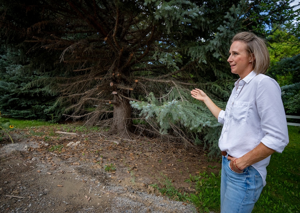(Rick Egan | The Salt Lake Tribune) Megan Carollo discusses a tree the city trimmed on her property on Canyon Road in Logan, on Tuesday, Sept. 1, 2026. 