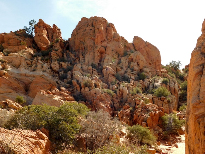The Salt Lake Tribune|Erin Alberty
Red rock formations tower over the trail to Babylon Arch on March 12, 2017 in the Red Cliffs Desert Reserve near Leeds.