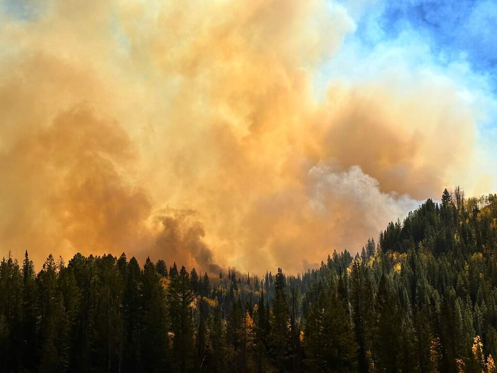 (Utah Wildfire Info)
The Yellow Lake Fire in Wasatch County has grown to nearly 8,000 acres, officials reported on Saturday, Oct. 5, 2024.