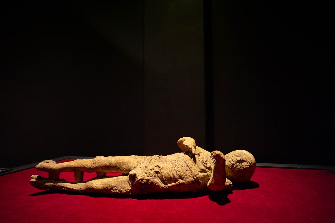 (Trent Nelson  |  The Salt Lake Tribune) "Child," part of Pompeii: The Exhibition, opening Saturday at The Leonardo in Salt Lake City on Thursday Nov. 21, 2019.