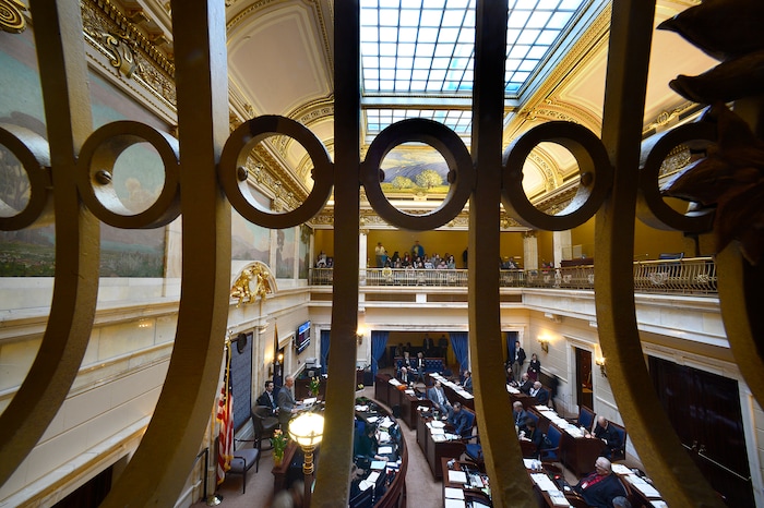(Scott Sommerdorf   |  The Salt Lake Tribune)  
The Utah Senate in session, Thursday, January 25, 2018.