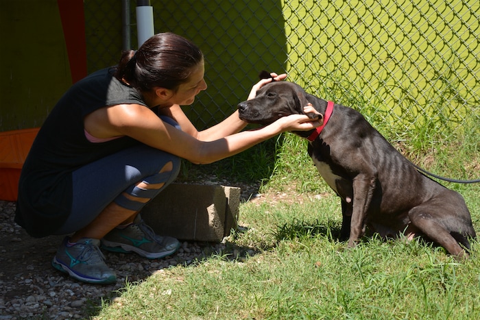 Best Friends Animal Society staff members and volunteers help rescue and reunite pets with people in the aftermath of Hurricane Harvey. Courtesy | Best Friends Animal Society.