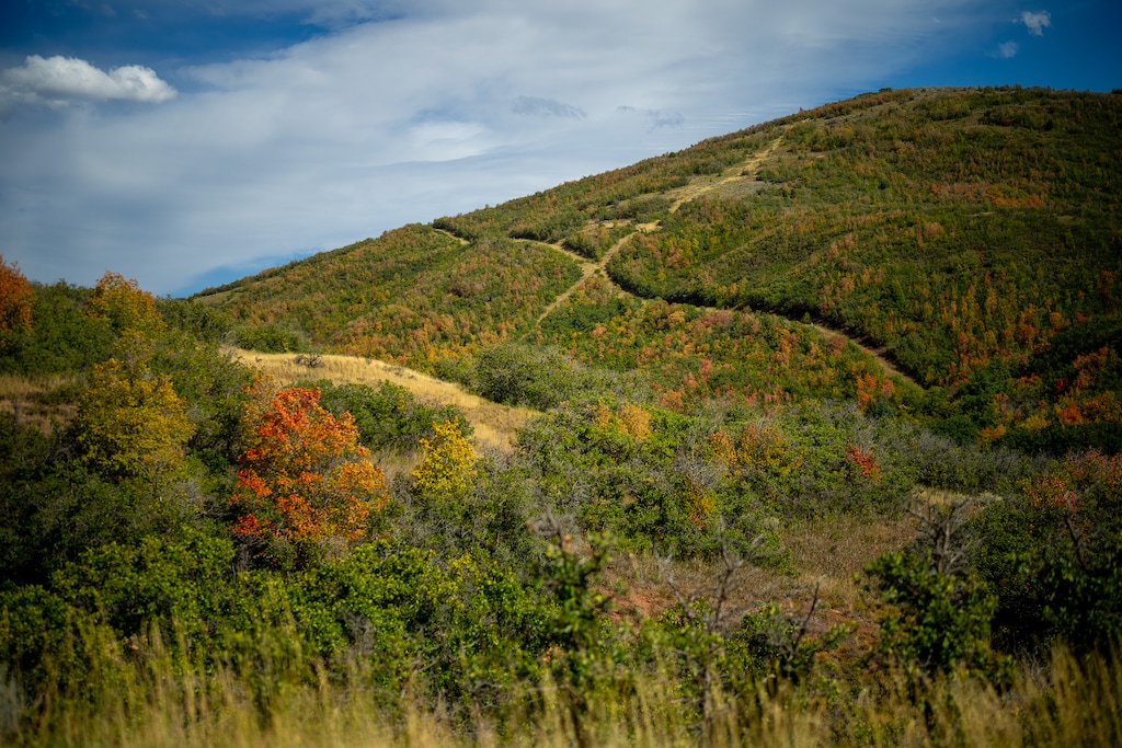 (Trent Nelson | The Salt Lake Tribune) Emigration Canyon on Tuesday, Sept. 15, 2026.