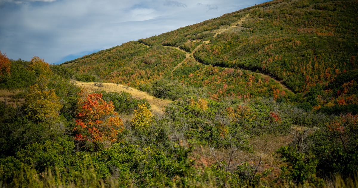 Voices: I’m a doctor living in Emigration Canyon. A proposed pipeline worries me.