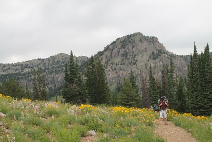 Jessica Miller | The Salt Lake Tribune
Kelly Miller hikes the White Pine Lake Trial on July 17, 2015.