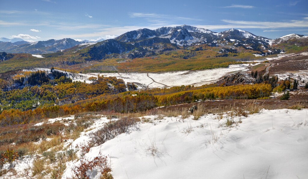 Courtesy of Save Our Canyons

Bonanza Flats near the Wasatch Crest's Guardsman Pass.