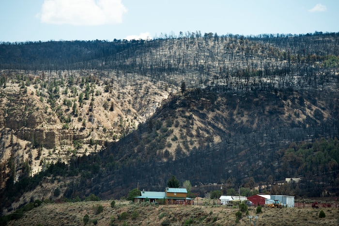 (Rick Egan  |  The Salt Lake Tribune)       Some cabins were spared as the Dollar Ridge Fire burned along the ridge of Currant Creek Mountain, Tuesday, July 10, 2018.


