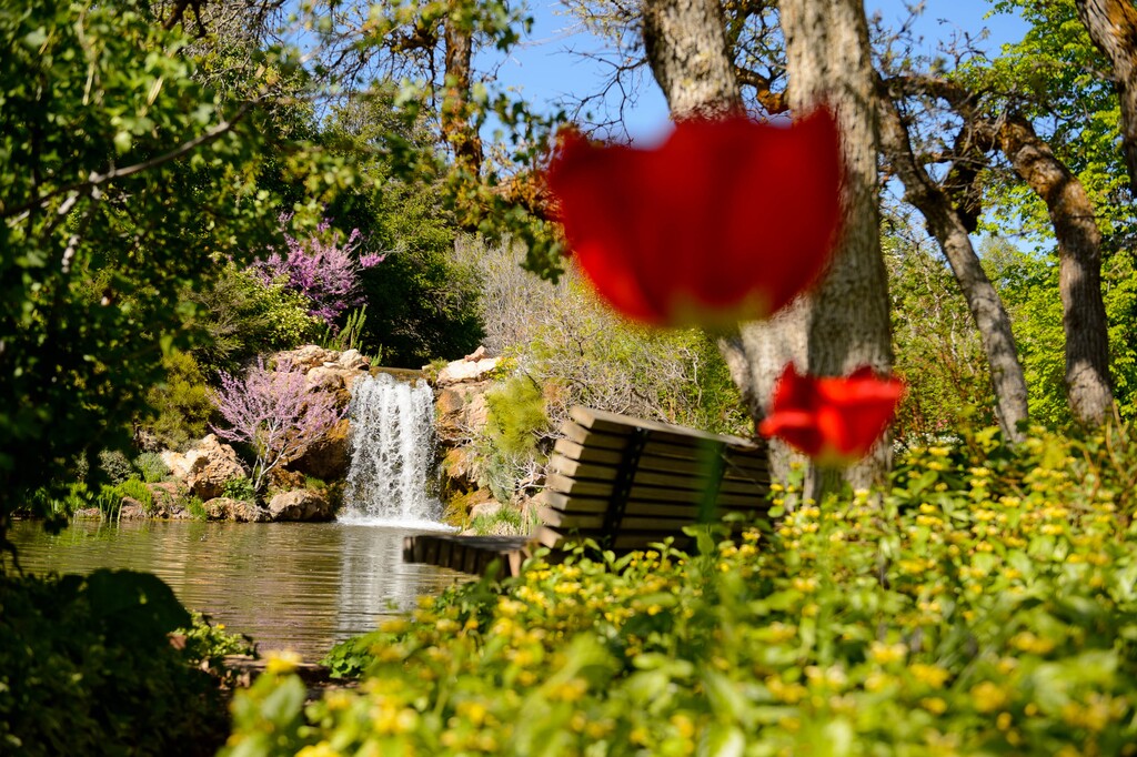 (Trent Nelson | The Salt Lake Tribune) Red Butte Garden in Salt Lake City on Wednesday, May 6, 2020.