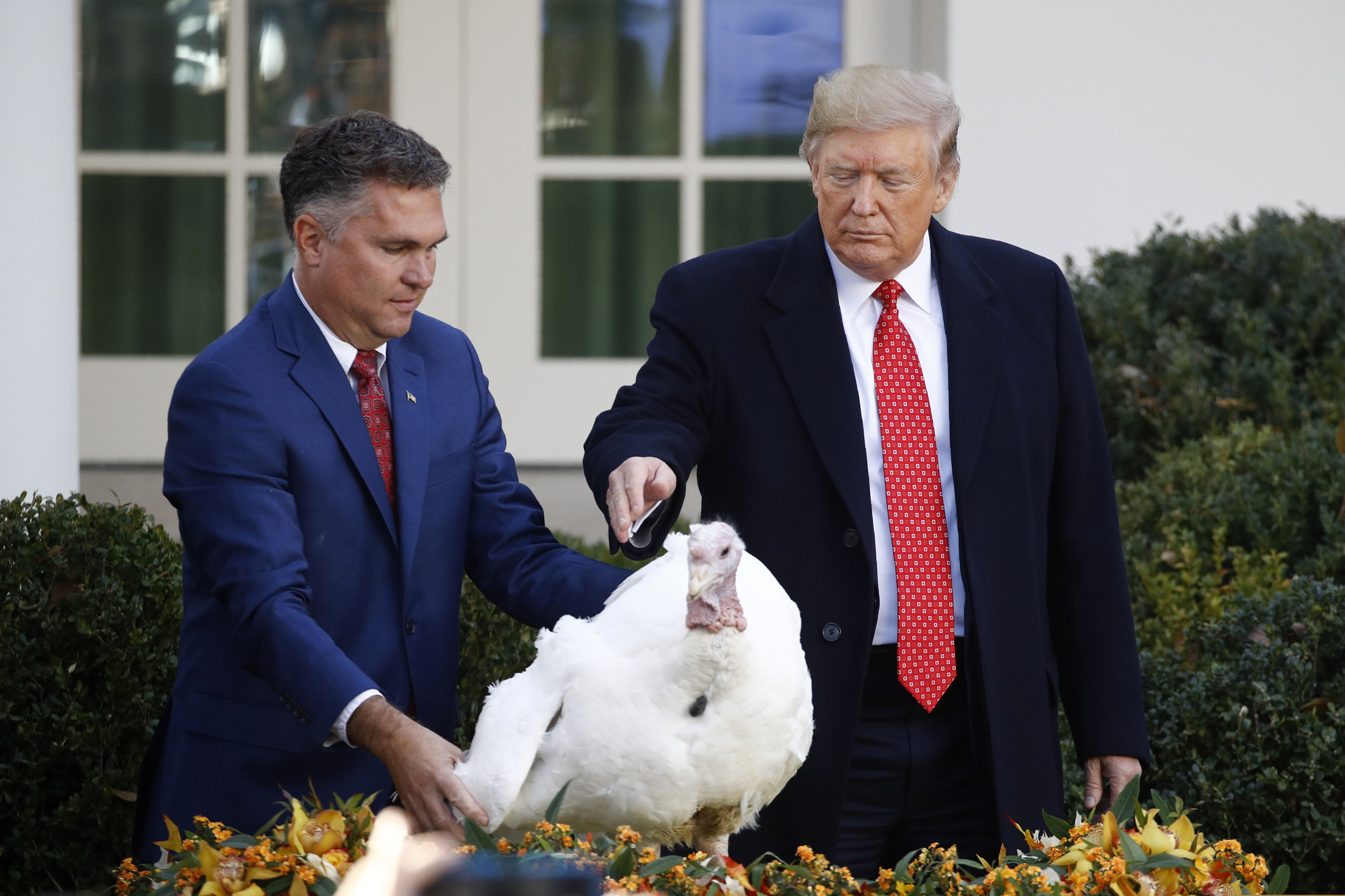 (Patrick Semansky | AP) President Donald Trump pardons Butter, the national Thanksgiving turkey, in the Rose Garden of the White House, Tuesday, Nov. 26, 2019, in Washington.