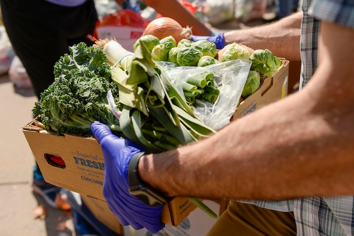 (Leah Hogsten  |  The Salt Lake Tribune)  Snowbird employees handed out over 10,000 pounds of perishable items from the ski resort's restaurants and stores to their workforce, March 21, 2020. The food included milk, eggs, bread, cheeses, every kind of herb, vegetable and fruit, including kumquats and lemon grass, and was given to Snowbird employees on a first-come, first-served basis.