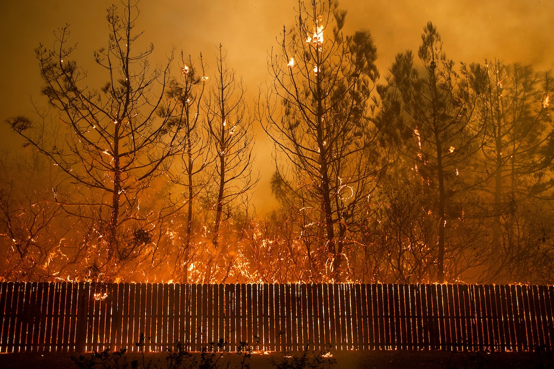 Flames climb trees as the Camp Fire tears through Paradise, Calif., on Thursday, Nov. 8, 2018. (AP Photo/Noah Berger, File)