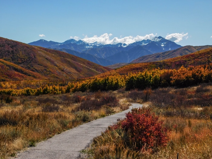 (Erin Alberty|The Salt Lake Tribune) Maples, oak, aspen and sumac line the trail to Cascade Springs with fall color on Oct. 9, 2017 in Wasatch County.