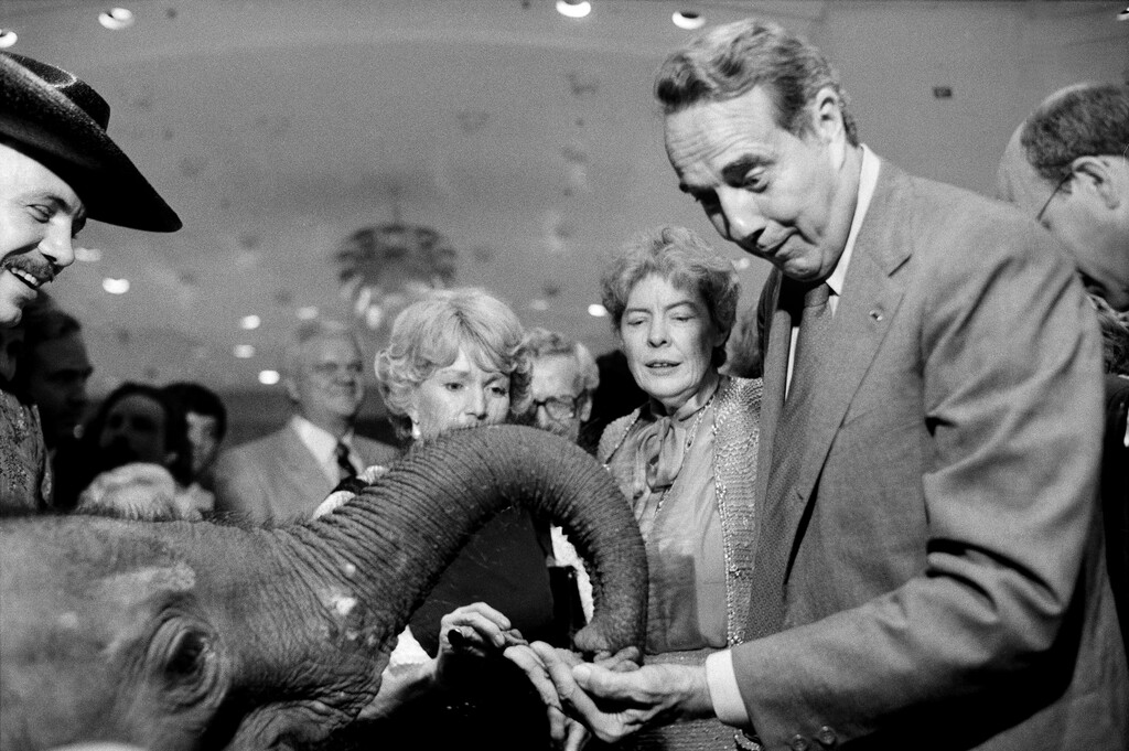 (George Tames | The New York Times)

Then-Sen. Bob Dole (R-Kan.) at the Republican National Convention in Aug., 1984. Dole, the plain-spoken son of the prairie who overcame Dust Bowl deprivation in Kansas and grievous battle wounds in Italy to become the Senate majority leader and the last of the World War II generation to win his party's nomination for president, died on Sunday, Dec. 5, 2021. He was 98.