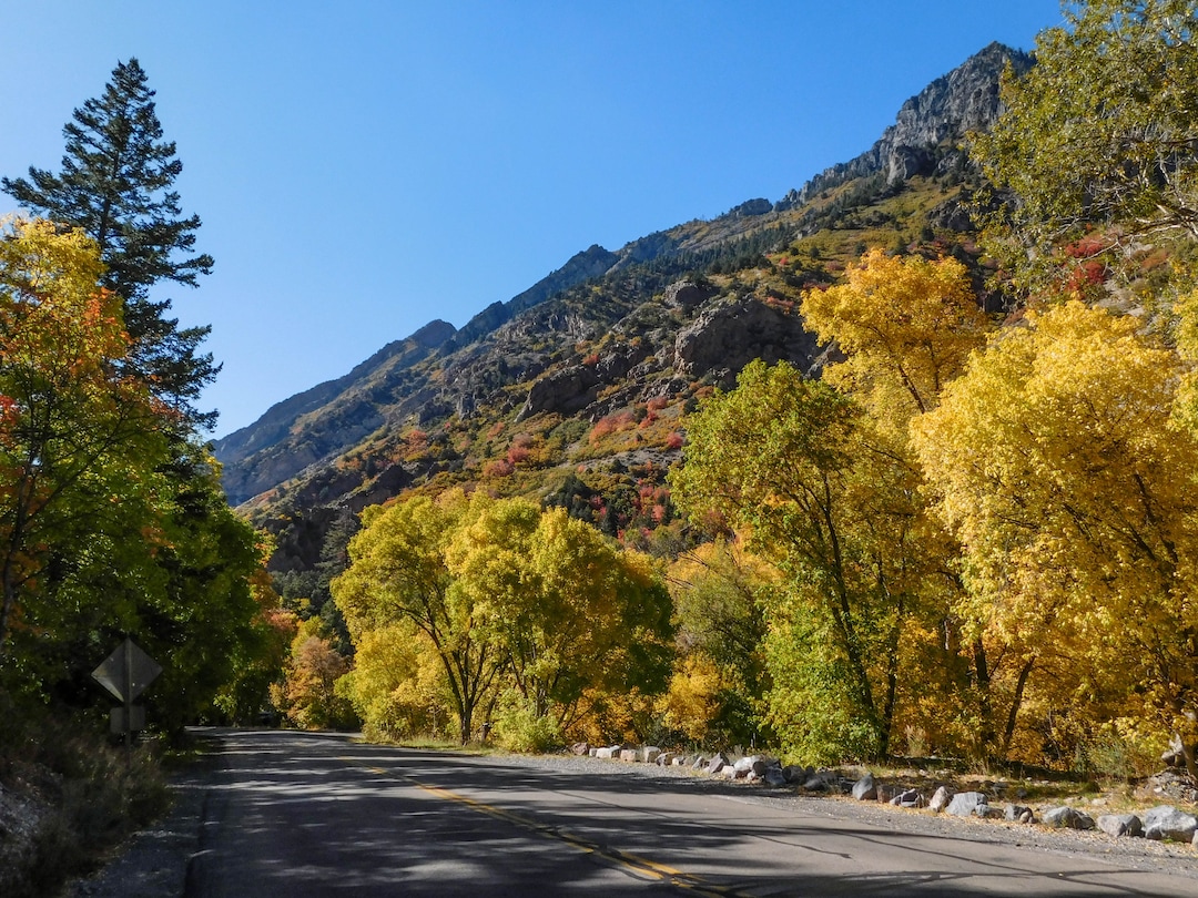 (Erin Alberty|The Salt Lake Tribune) Cottonwood, maple and aspen paint a rainbow of colors on the walls of American Fork Canyon on Oct. 9, 2017 in Utah County.