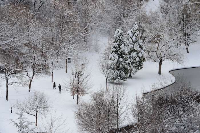 Scott Sommerdorf | The Salt Lake TribuneTwo people explore the snowfall in Memory Grove in Salt Lake City after an overnight snowstorm, Sunday, March 4, 2018.