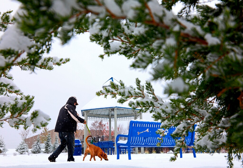 (Christian Gooden | St. Louis Post-Dispatch | The Associated Press) Joe Harrison, a volunteer dog walker, gives Haley a wintry outdoor walk on Thursday, Nov. 15, 2018, in the walking park at the Humane Society of Missouri's Maryland Heights center. A pre-winter storm moved across the eastern half of the country Thursday, slamming parts of the South and lower Midwest on the way.