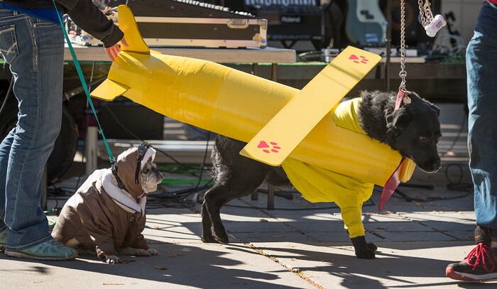 (Leah Hogsten  |  The Salt Lake Tribune) Otis, the pug and Oreo, the labrador were awarded "Most Creative" for their costumes as a pilot and a plane, during the 7th annual Howl-o-ween Pet Costume Contest at the Downtown Farmers Market. Otis, has only three legs after a run in with a Trax train. Proceeds from the 20 contestants go to the Humane Society and a local animal shelter. 