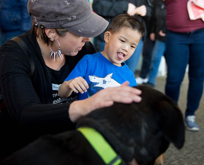 (Trent Nelson | The Salt Lake Tribune)  Aly and Alex Cooper pet Forrest, a dog brought by Salt Lake County Animal Services promoting Love Your Pet Month and their pet adoption services at the Chinese New Year Celebration at the County Library's Viridian Event Center in West Jordan, Saturday Feb. 17, 2018.