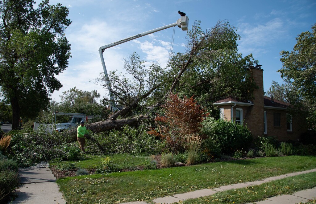 (Francisco Kjolseth  |  Tribune file photo) A large tree rests on a home along 1800 East near Highland High as crews and home owners begin extensive wind damage cleanup in Salt Lake City on Wednesday, Sept. 9, 2020, following a storm that brought hurricane-force winds.
