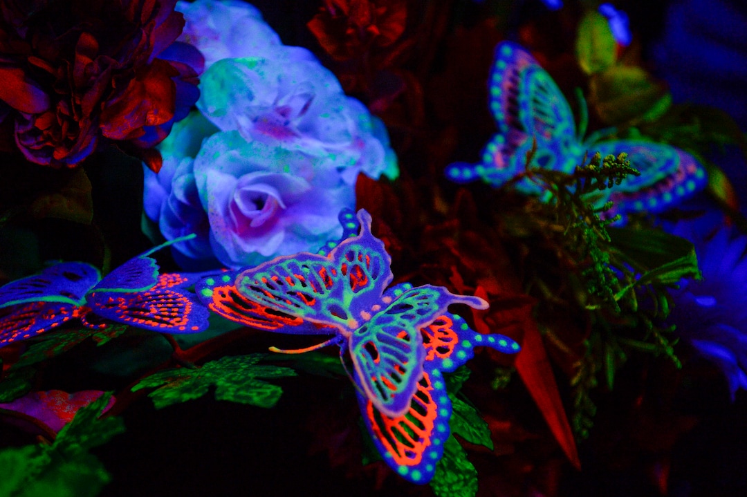 (Leah Hogsten  |  The Salt Lake Tribune) Dreamscapes, the interactive walk-through art exhibition in The Gateway, Tuesday, June 16, 2020. Dreamscapes is reopening June 4, with new exhibits and an added focus on safety during the coronavirus pandemic. 
